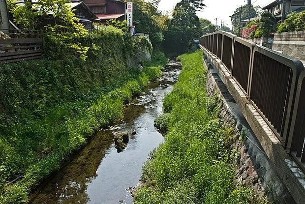 Upstream business strategically conducted by Japan.A form of processing trade in which Asian countries, including Korea, assemble and export them.